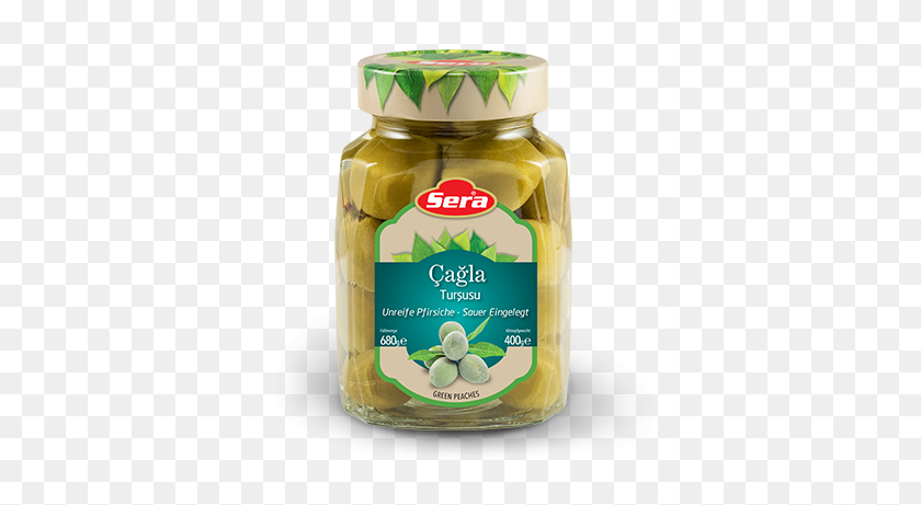 562x401 Pickles PNG
