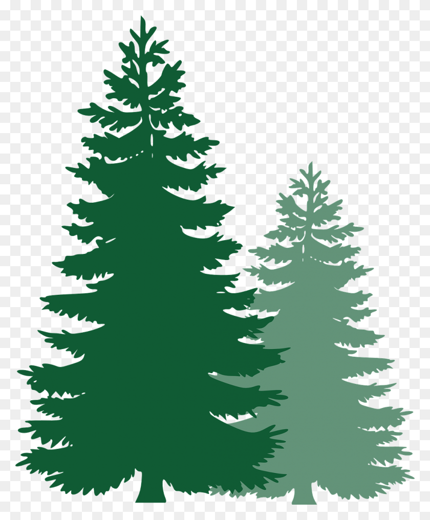 1044x1280 Pine Tree Silhouette PNG