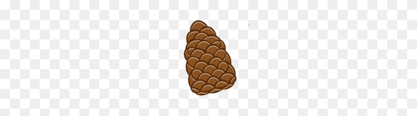 175x175 Pinecone PNG