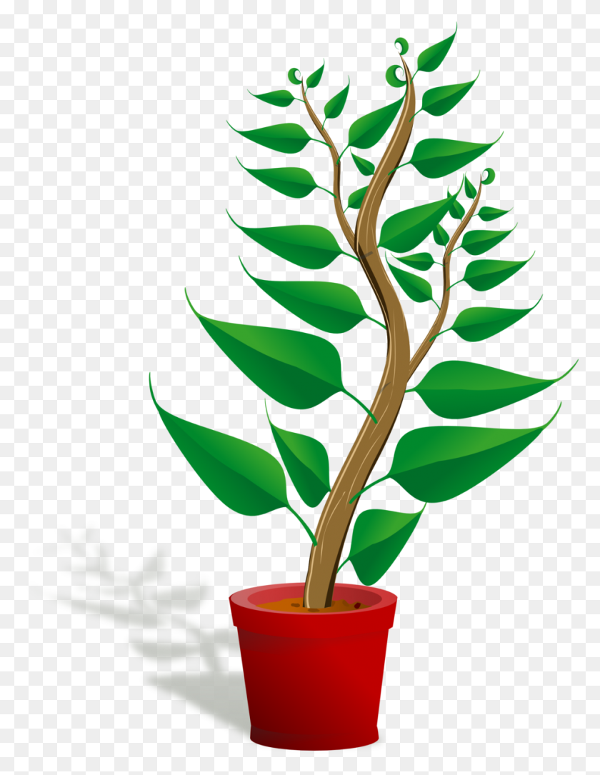958x1260 Plant Pot Clipart