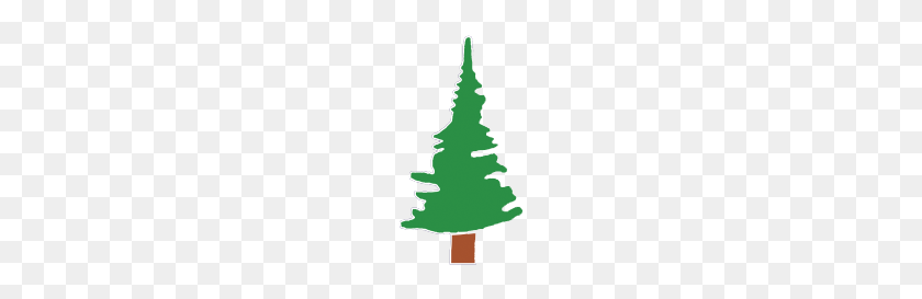 118x213 Redwood Tree PNG