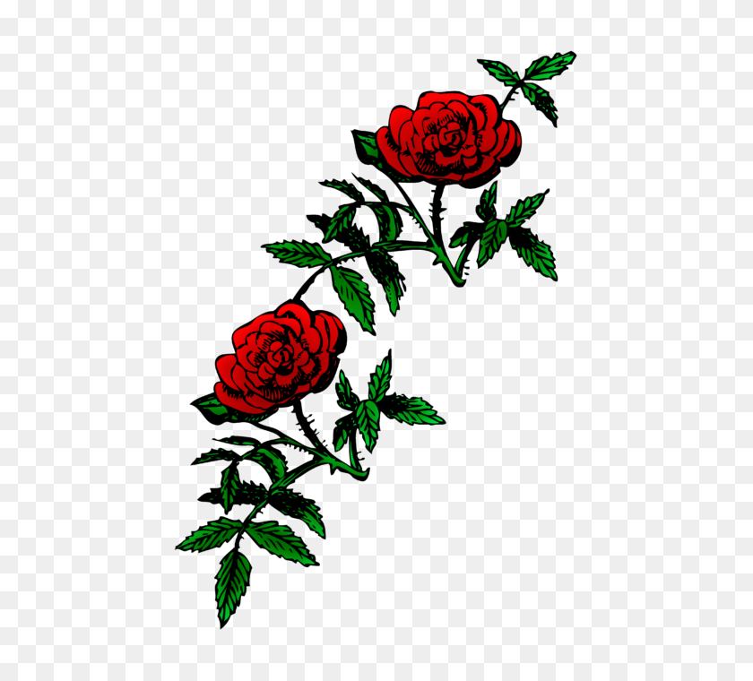 502x700 Rose Clipart Outline