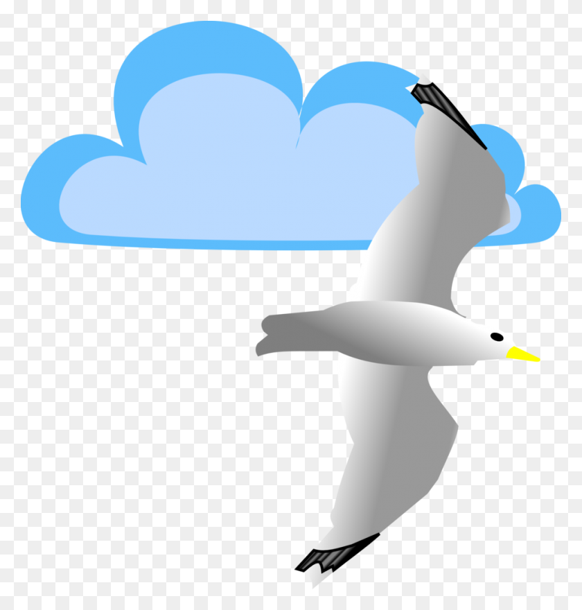 958x1008 Seagull Clipart