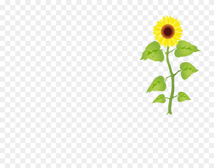 1500x1150 Seed Growing Clipart