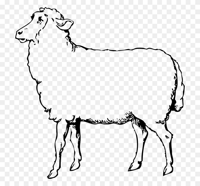 712x720 Sheep Black And White Clipart