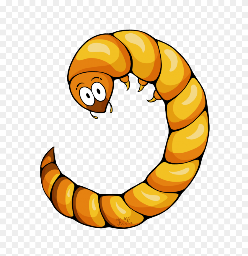 926x959 Mealworm Clipart