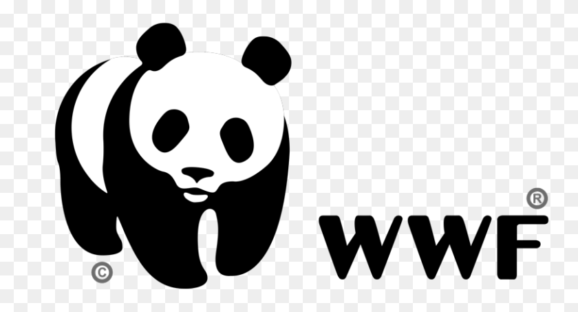 768x393 Png Wwf