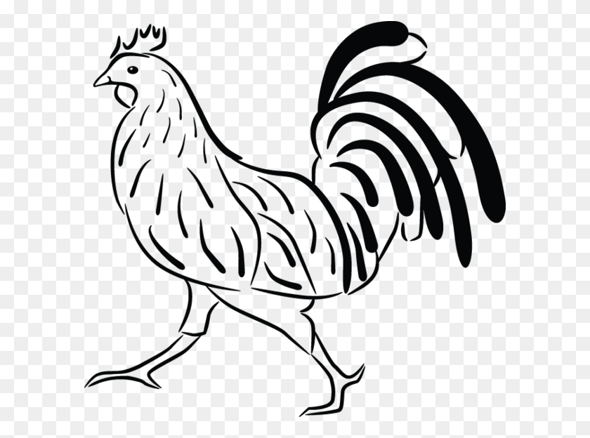 600x564 Year Of The Rooster Clipart