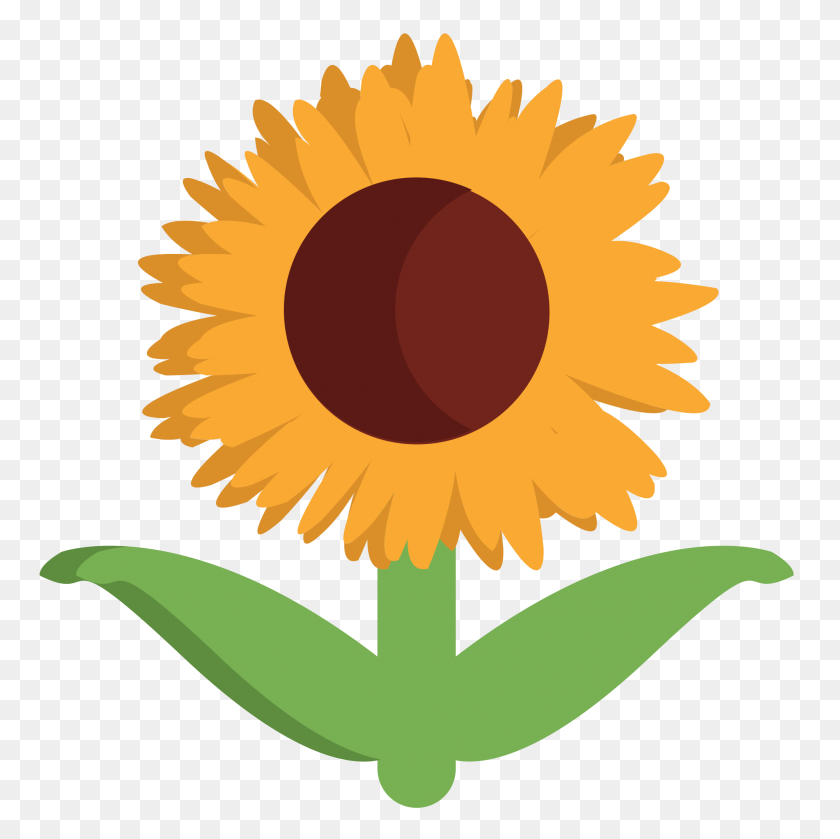 2000x2000 Sunflower Emoji PNG