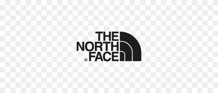 300x300 The North Face Logo PNG