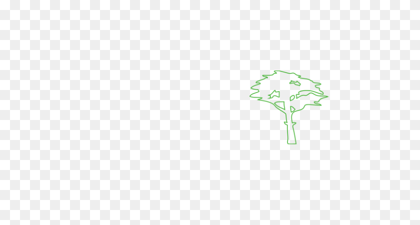 800x400 Tree Outline PNG