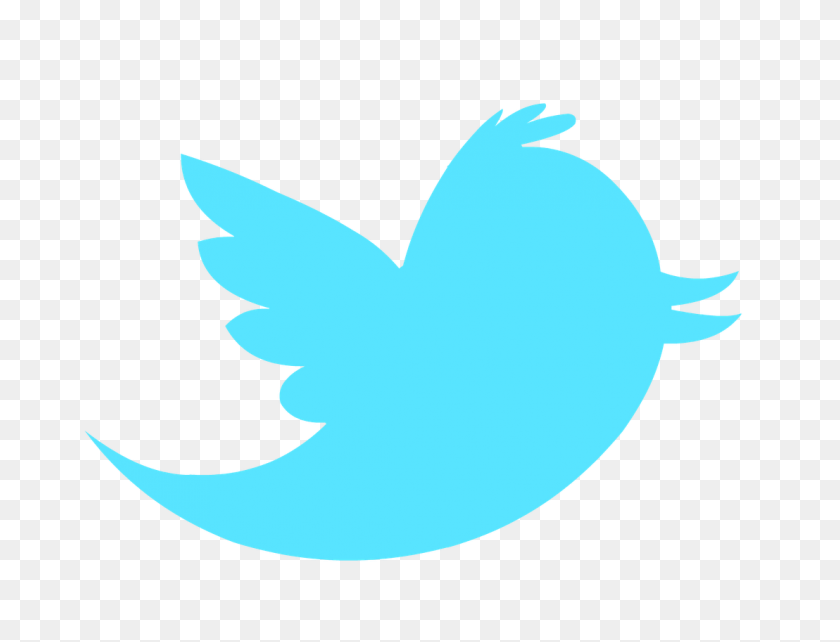 1108x828 Twitter Bird PNG