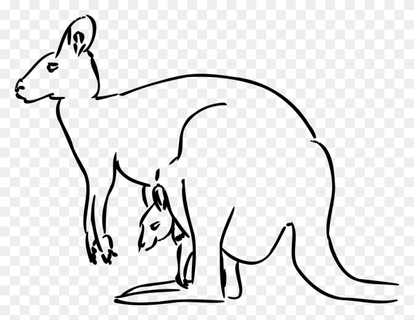 958x725 Wallaby Clipart