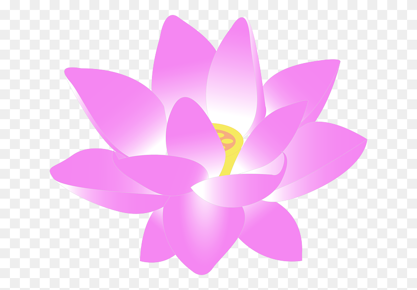 640x524 Water Lily PNG