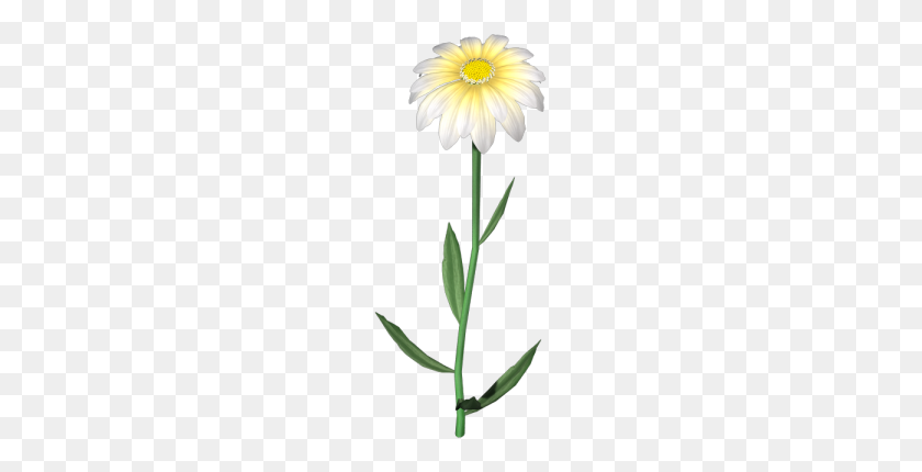 159x370 White Daisy PNG