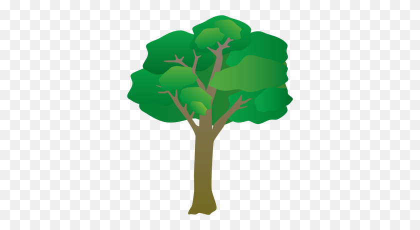332x400 Willow Tree PNG