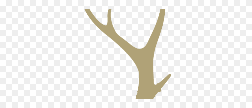 300x300 Antlers PNG