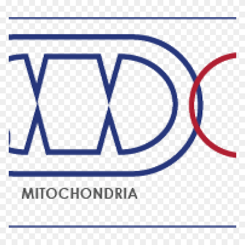 1024x1024 Mitocondrias Png
