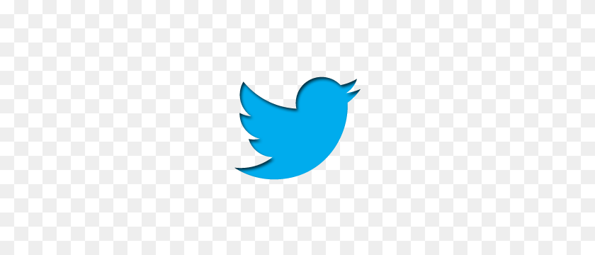 400x300 Логотип Twitter Png Изображения