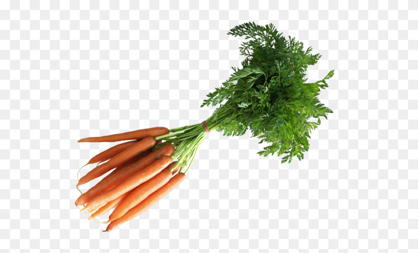 541x448 Carrots PNG
