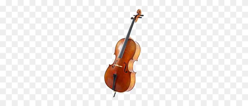 300x300 Cello PNG