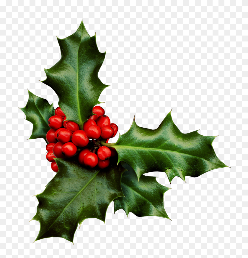 1500x1561 Christmas Holly PNG