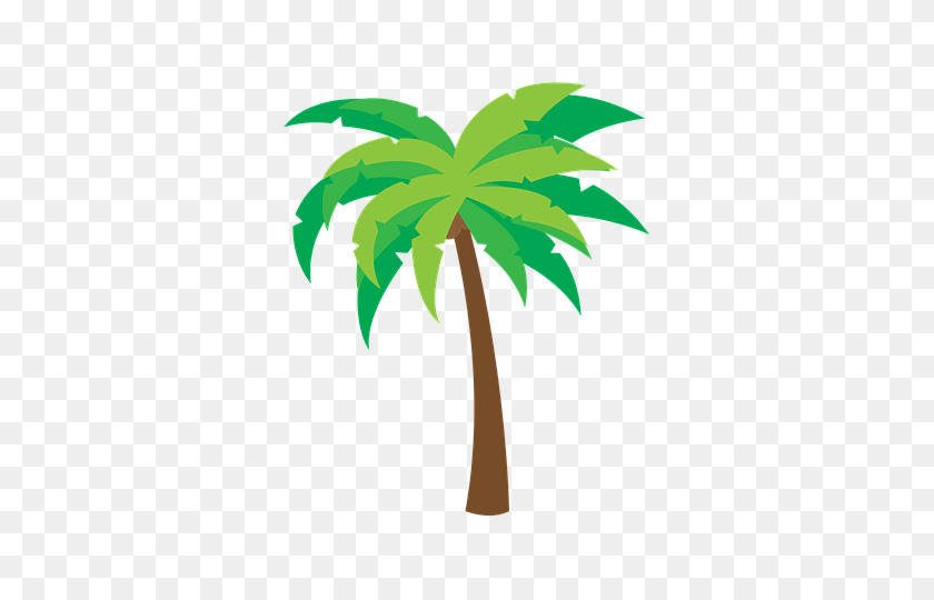 480x480 Coconut Tree PNG