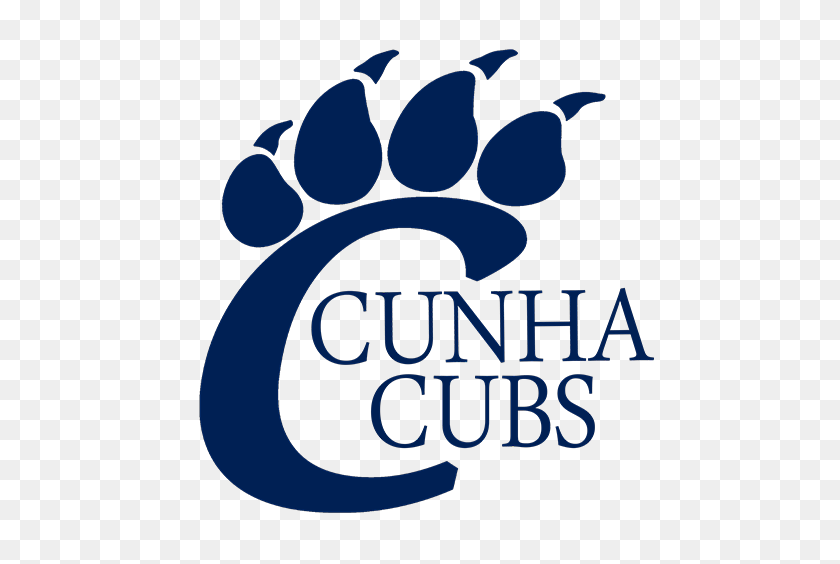 504x504 Cubs Logo PNG