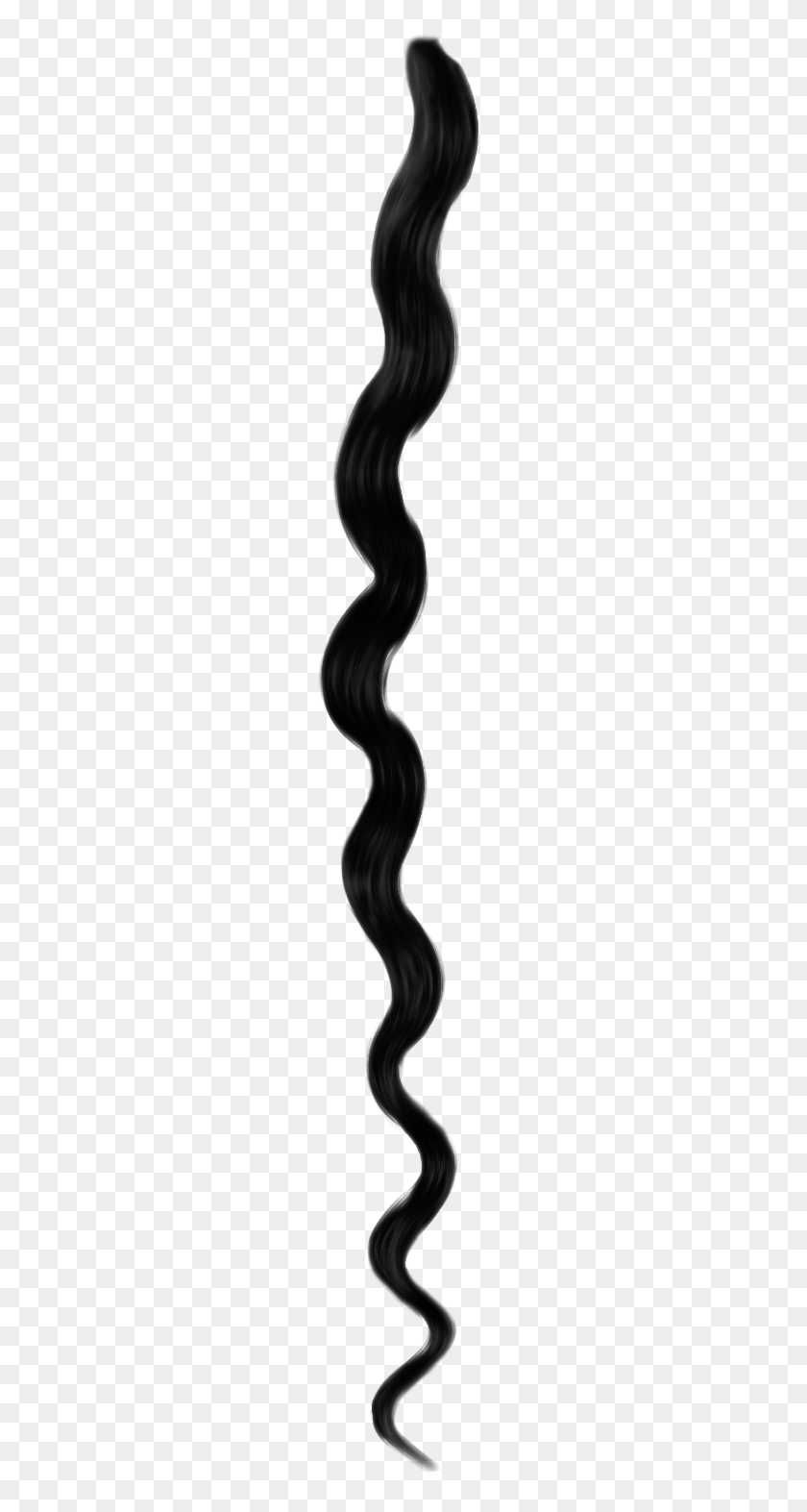 260x1513 Curly Hair PNG