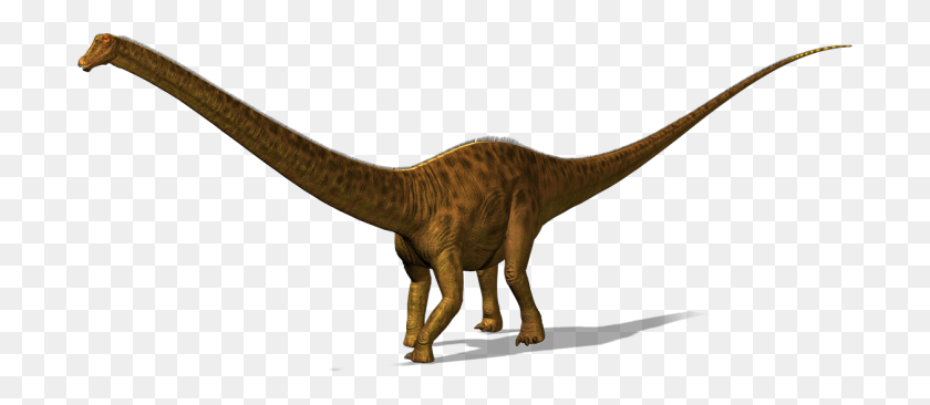 700x306 Png Кости Динозавра