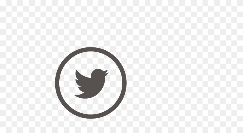 500x400 Twitter Logotipo Blanco Png