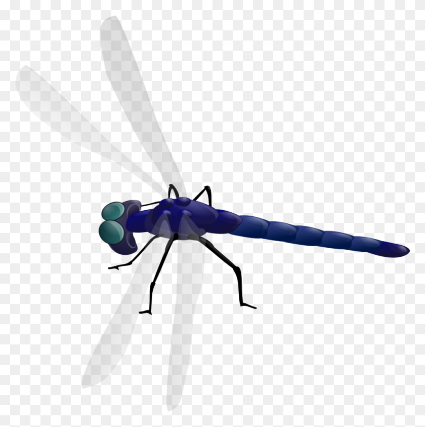 958x962 Dragonfly Clipart