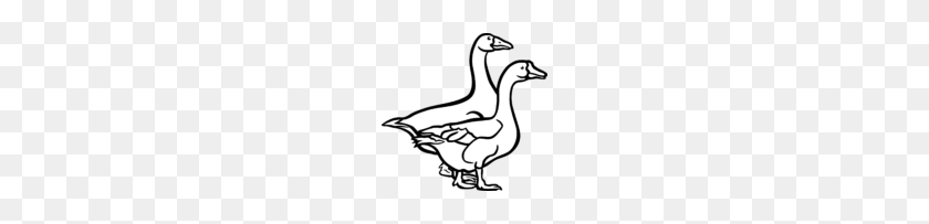 150x143 Duck Flying Clipart