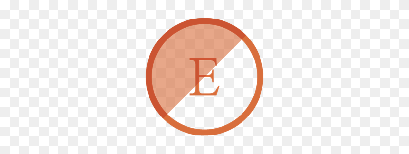 256x256 Etsy Icon PNG