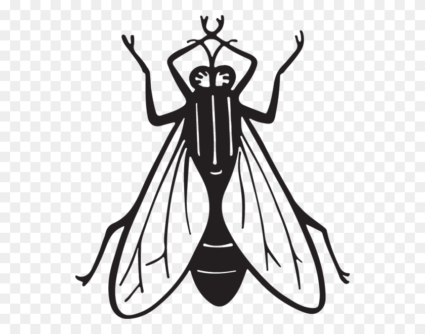 542x600 Flies Clipart Black And White