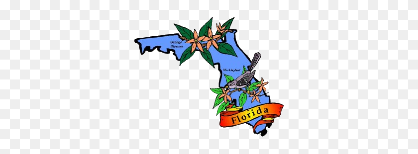 300x250 Логотип Штата Флорида Png Изображения