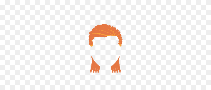 300x300 Ginger PNG
