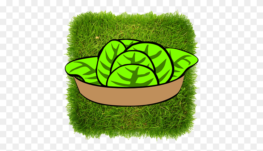 434x424 Grass Background PNG