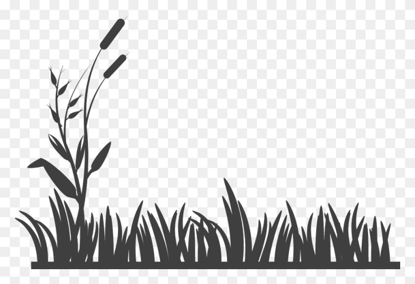960x634 Grass Black And White Clipart