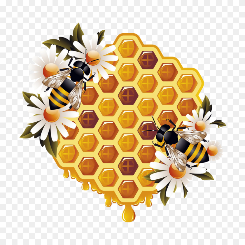 800x800 Honey Bee PNG