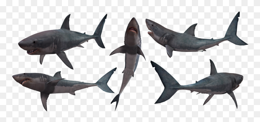 1280x551 Jaws PNG