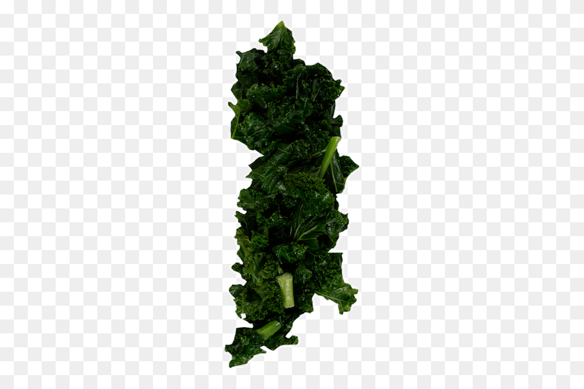194x500 Kale PNG