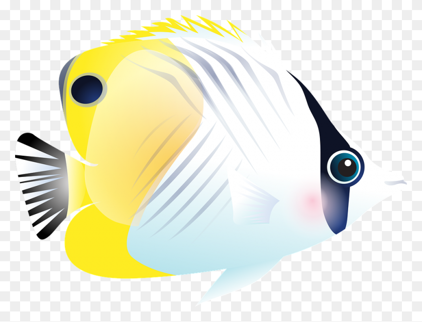 960x716 Lionfish Clipart