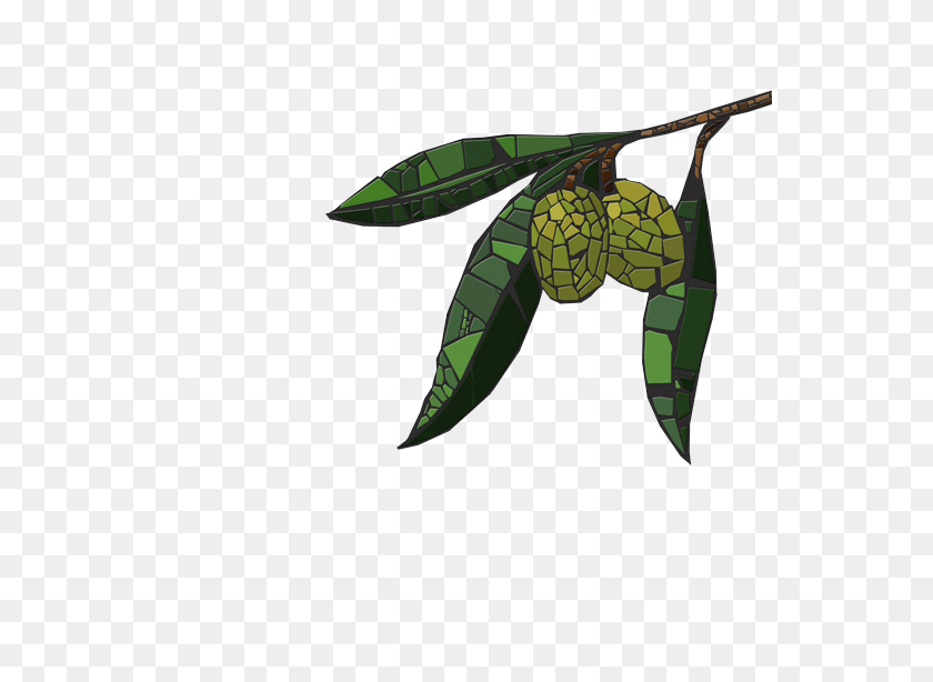 550x554 Olive Tree PNG