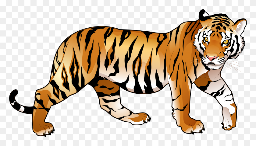 3576x1929 A Beautiful Tiger Lying Down Clipartvector Toons In Tiger Clipart - Free Tiger Clipart