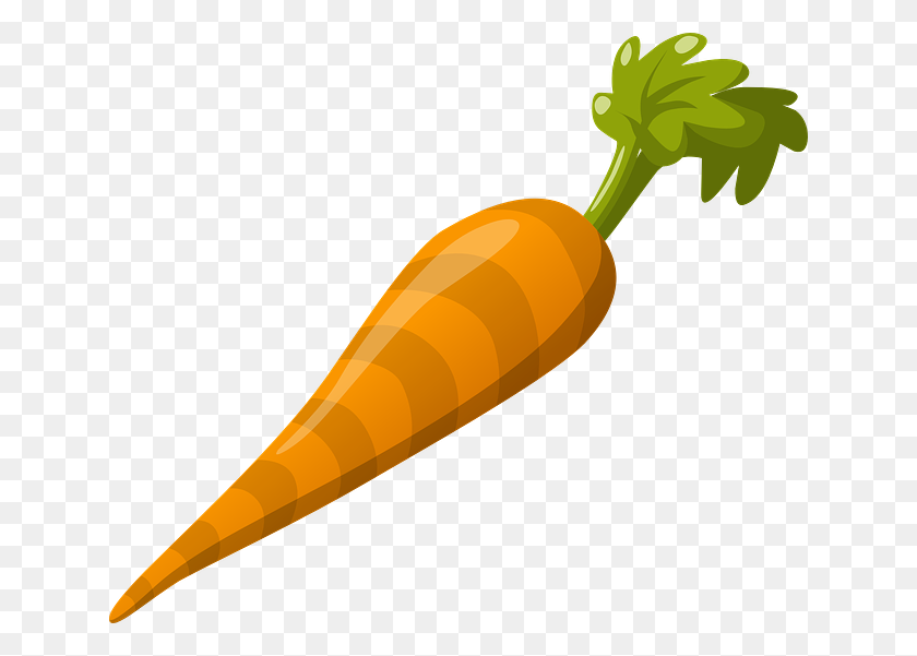 640x541 ¡Una Breve Historia De La Zanahoria! Imbécil Profesional - Zanahorias Png