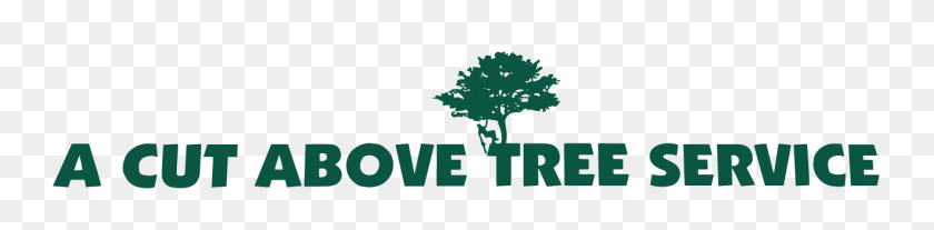 1318x250 A Cut Above Tree Service - Árbol Desde Arriba Png
