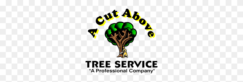 250x224 A Cut Above Tree Service Llc - Árbol Desde Arriba Png