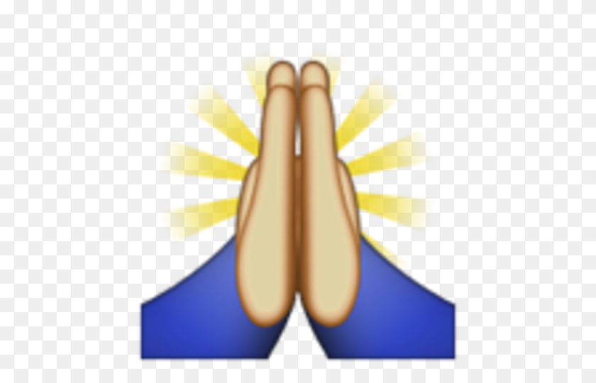 480x480 Una Guía De Campo - Manos En Oración Emoji Png