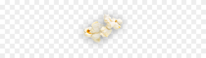 221x179 A Kernel Of Truth! And Grade Math, Reading And Language - Popcorn Kernel PNG